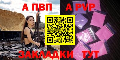 дурь Кингисепп