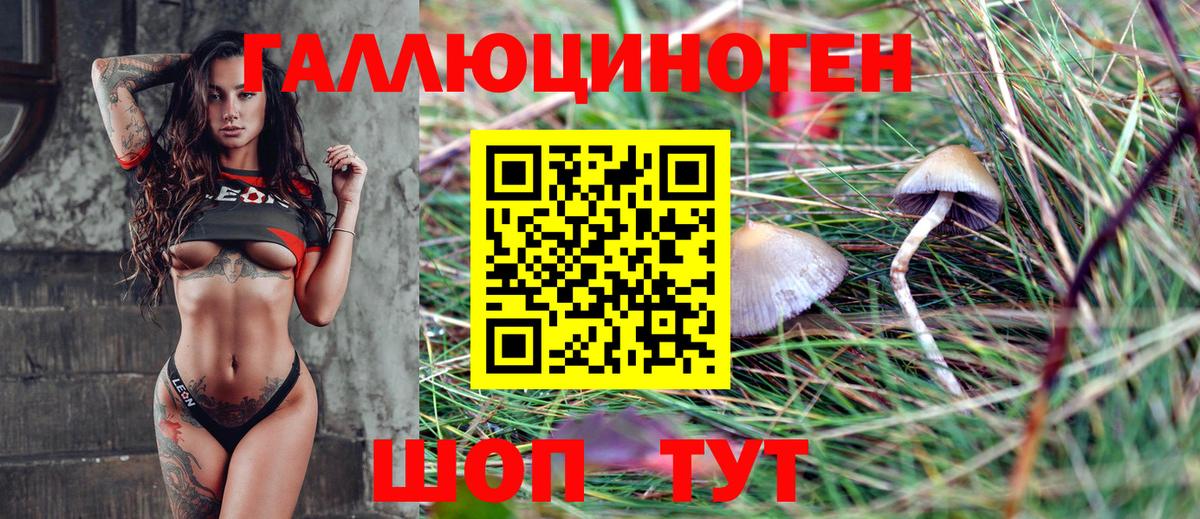 Галлюциногенные грибы Psilocybe Балашов